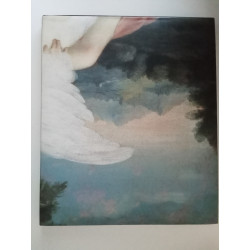 Tesouro das imagens - Nuno Saldanha