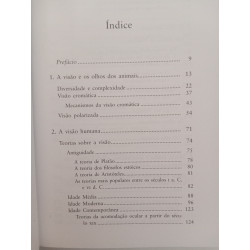 Visão, olhos e crenças - Luís Miguel Bernardo