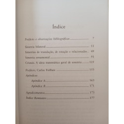 Simetria - Hermann Weyl