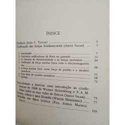 Em busca da unificação