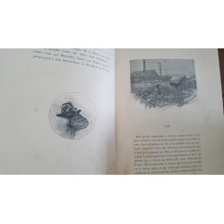 Hector Mallot - En famille