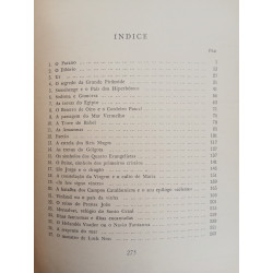 Os grandes enigmas do Universo - Richard Hennig