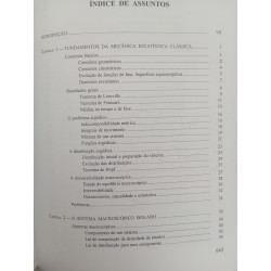 Física Estatística - E. J. S. Lage