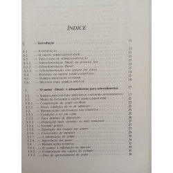Turbo, sobrealimentação de motores rápidos - Juan Miralles de Imperial