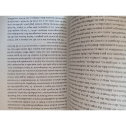 A jangada de pedra - José Saramago