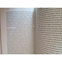 O homem duplicado - José Saramago