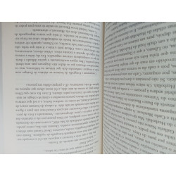 O anjo caído - Daniel Silva