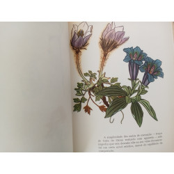 Compêndio de Desenho - António Carreira