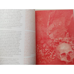 A volta ao mundo em 80 catástrofes