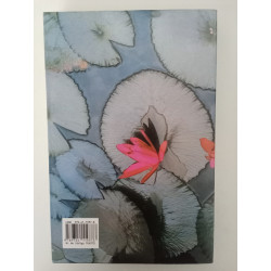 O Deus das pequenas coisas - Arundhati Roy