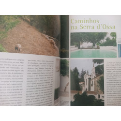 Lugares sentidos - José Riço Diretinho