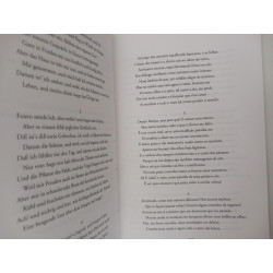 Elegias - Hölderlin
