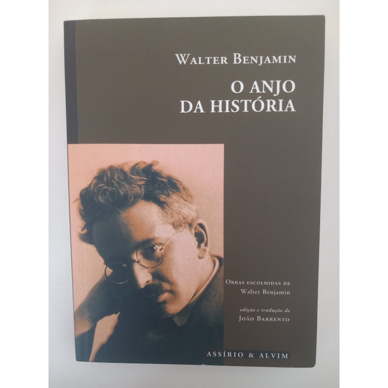 O anjo da história - Walter Benjamin