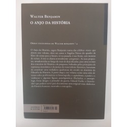 O anjo da história - Walter Benjamin