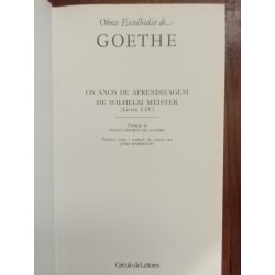 Goethe - Os anos de aprendizagem de Wilhelm Meister