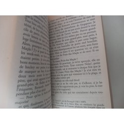 Livre de chroniques IV - António Lobo Antunes