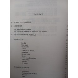 Mário de Sá-Carneiro por Maria Estela Guedes