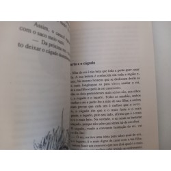 Contos Nigerianos