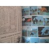 Tintin vol. 25