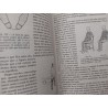 A Física do dia-a-dia - Rómulo de Carvalho