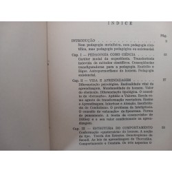 Fundamentação existencial da Pedagogia - Delfim Santos