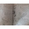 O sonho de voar - Jean-Pierre Petit