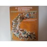 A descoberta do Brasil