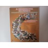 A revolta na "Bounty"