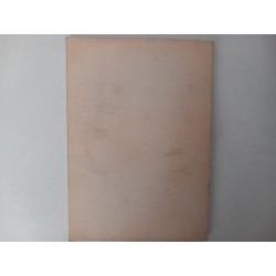 De Tomar - Amorim Rosa