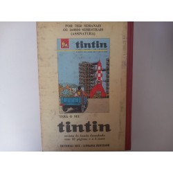Tintin