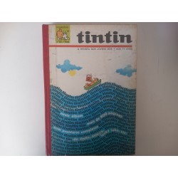 Tintin