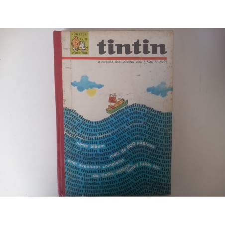 Tintin