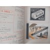 Revista Municipal