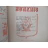 Revista Municipal