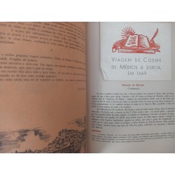 Revista Municipal