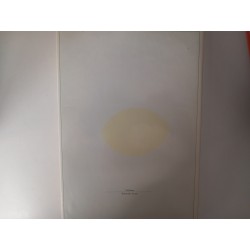 O livro dos vinhos - José A. Salvador e Luís Ramos