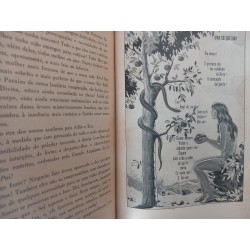 A Terra e a Humanidade nos meus dias - Antomvamtos