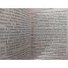 Os amores de Máximo - Carmen Figueiredo [autografado]