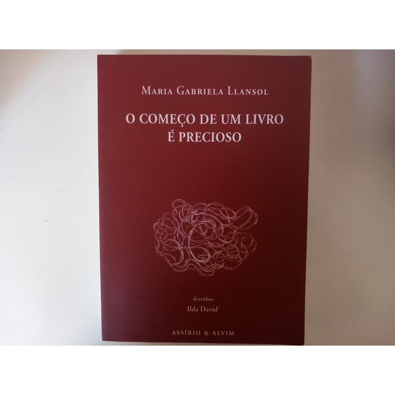 O começo de um livro é precioso - Maria Gabriela Llansol