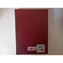 O começo de um livro é precioso - Maria Gabriela Llansol