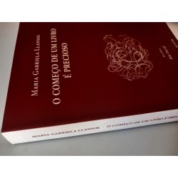 O começo de um livro é precioso - Maria Gabriela Llansol