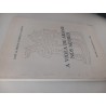 A Viola de Arame nos Açores - José Alfredo Ferreira Almeida