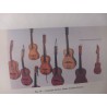 A Viola de Arame nos Açores - José Alfredo Ferreira Almeida