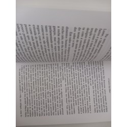 O senhor das ilhas - Maria Isabel Barreno