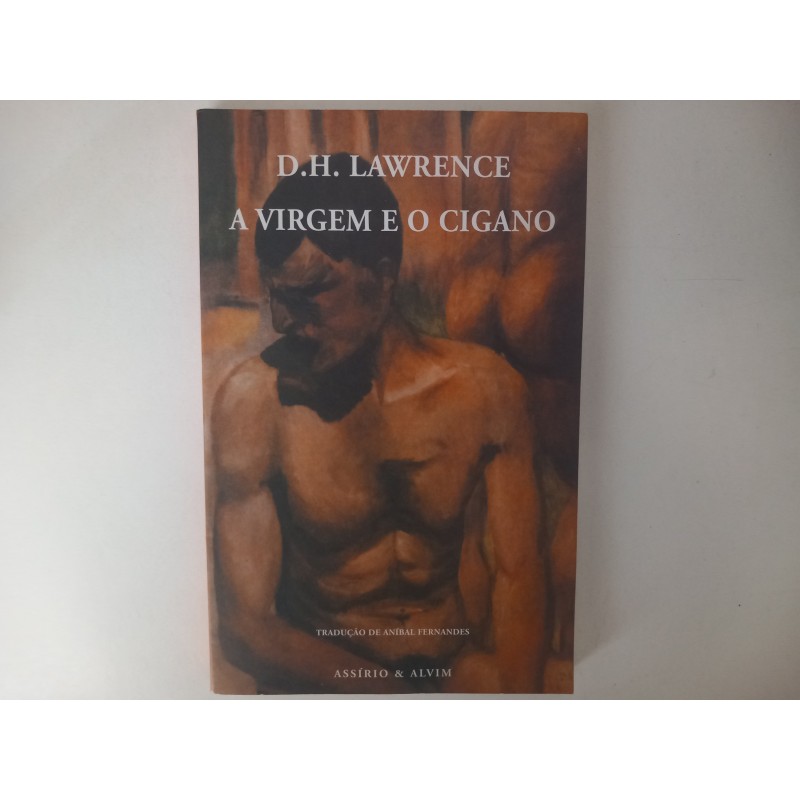 A virgem e o cigano - D. H. Lawrence