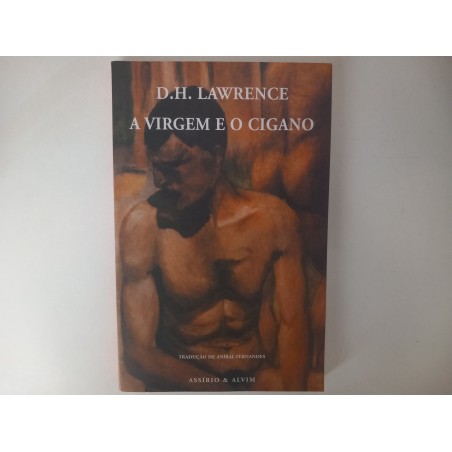 A virgem e o cigano - D. H. Lawrence