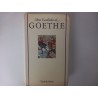 As paixões do jovem Werther / O conto da serpente verde - Goethe