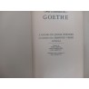 As paixões do jovem Werther / O conto da serpente verde - Goethe