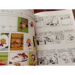 Bill Watterson - The indispensable Calvin and Hobbes