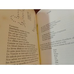 Apollinaire - Calligrammes